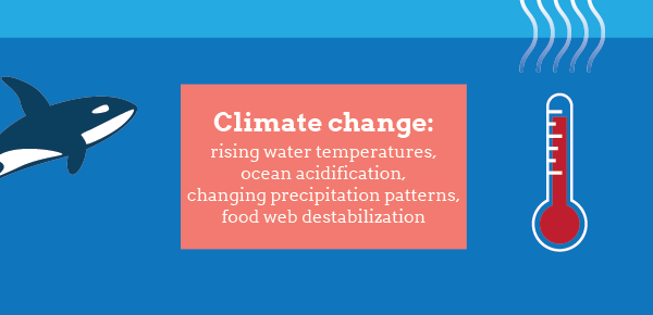 Climate change: rising water temperatures, ocean acidification, changing precipitation patterns, food web destabilization