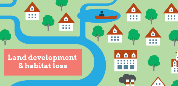 Land development & habitat loss