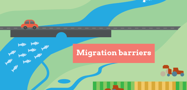 Migration barriers