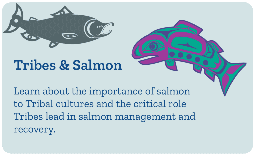 Get Involved — Our Sound, Our Salmon